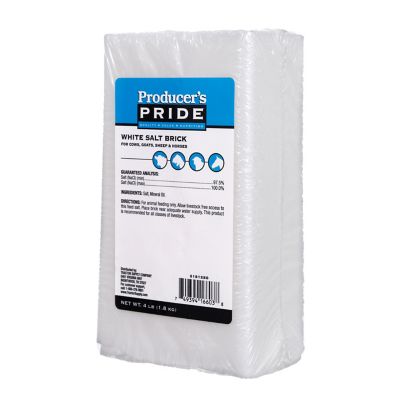 Image showing  White Salt Brick, 4 lb.