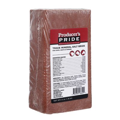 Image showing  Trace Mineral Salt Brick, 4 lb.