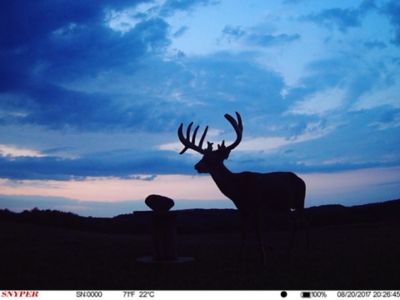 Image showing  All-Natural Deer Mineral Supplement and Attractant