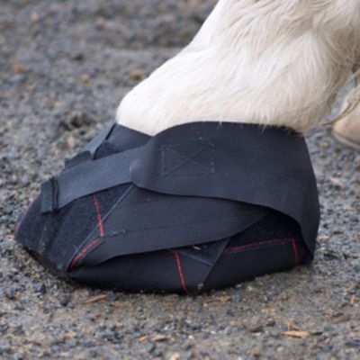 Hoof Wraps Equine Hoof Bandage