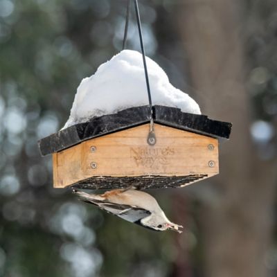 Image showing 1 Suet Upside Down Suet Feeder, Cedar