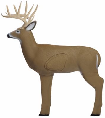 Shooter Archery Big Buck Target