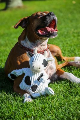 Image showing 9 th Hugglehounds Barnyard Knotties Cow Large Plush Dog Toy