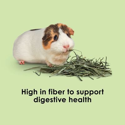 Image showing  Timothy Hay 48 oz.