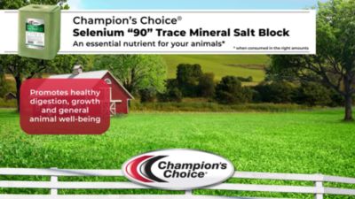 Image showing  Champion's Choice Selenium 90 Trace Cattle Mineral Salt, 50 lb.