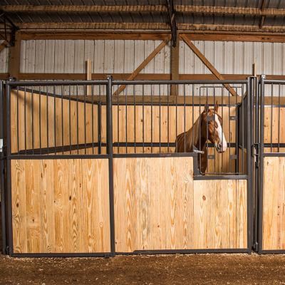 Image showing  Standard Horse Front Stall Panel with Sliding Door, 10 ft. x 7 ft.