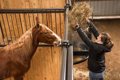 Image showing  3 Flake Galvanized Corner Mount Poly Hay and Grain Feeder
