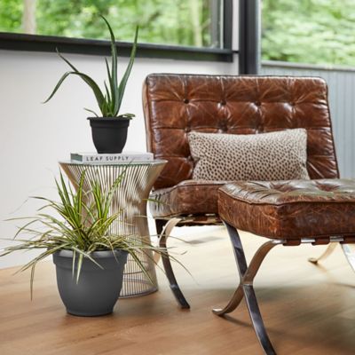 Image showing 6 th Bloem Planter Charcoal, 12 in.