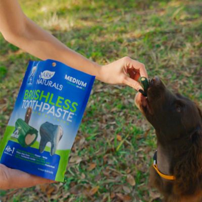 Image showing  Brushless Toothpaste Dental Chews for Medium Dogs, 18 oz.