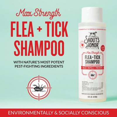 Image showing  Flea + Tick Shampoo For Dogs