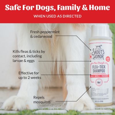 Image showing 5 th Skout's Honor Flea + Tick Shampoo For Dogs