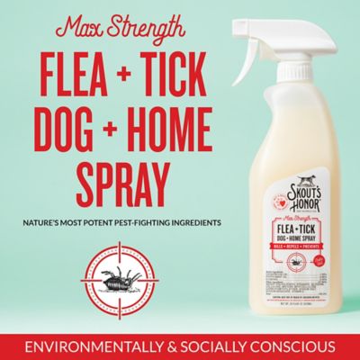 Image showing  Flea + Tick Dog & Home Spray