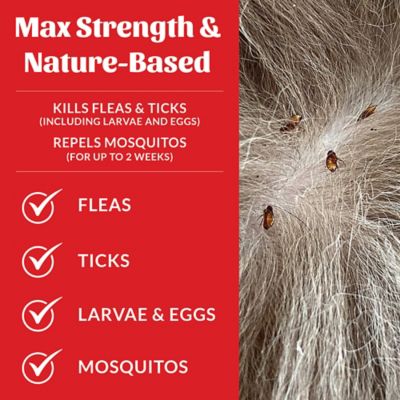 Image showing  Flea + Tick Dog & Home Spray