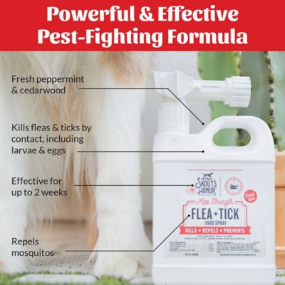 Image showing 5 th Skout's Honor Flea + Tick Yard Spray For Dogs