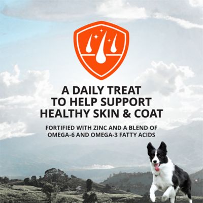 Image showing  Skin and Coat Jerky Bites Lamb and Rice Recipe Dog Treats, 22 oz.