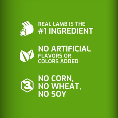 Image showing  Skin and Coat Jerky Bites Lamb and Rice Recipe Dog Treats, 22 oz.