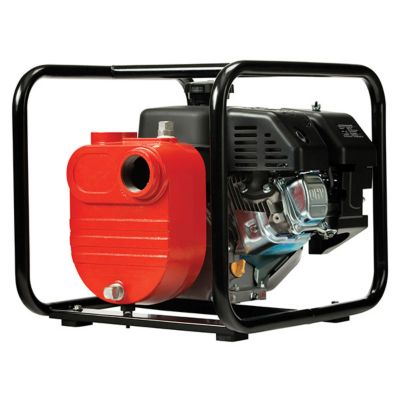 Red Lion 6.5 HP Gas-Powered Cast Iron Engine Driven Fertilizer Pump, 170 GPM, 617032