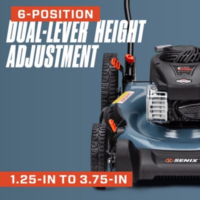 Image showing 8 th Senix 21 in. 125cc 4-Cycle Gas Powered Push Lawn Mower, Mulch/Side Discharge, Dual Lever Height Adjustment, 11 in. Rear Wheels