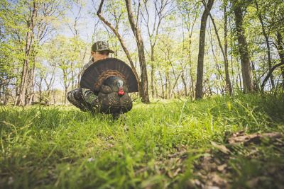 Image showing  Decoy Turkey Thunder Creeper