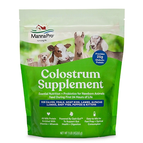Manna Pro Colostrum Digestion Supplement, 16 oz.