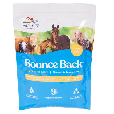 Manna Pro Bounce Back Electrolyte Livestock Supplement, 4 oz.