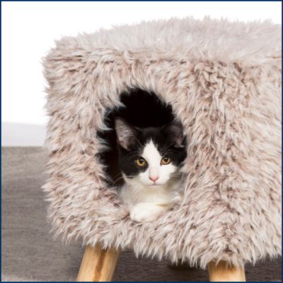 Image showing  Cozy Cube Hideaway Cat Bed, 12 in. x 12 in.