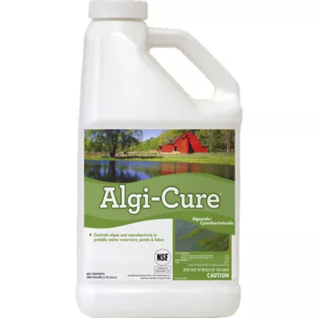 Applied Biochemists Algi-Cure Algaecide Pond Treatment 1 gal. Pond Cleaners & Chemicals