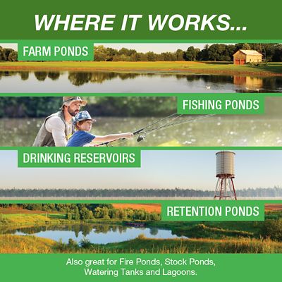 Image showing  Algi-Cure Algaecide Pond Treatment, 1 gal.