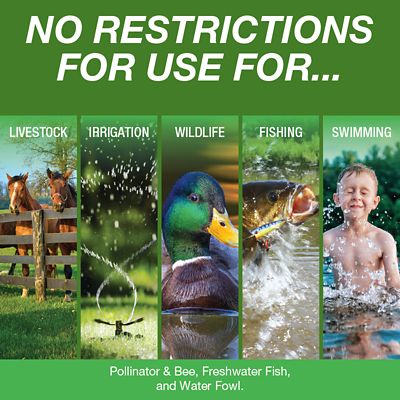 Image showing  Algi-Cure Algaecide Pond Treatment, 1 gal.