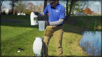Image showing  Algi-Cure Algaecide Pond Treatment, 1 gal.