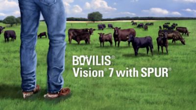 Image showing  Health Vision 7 Vaccine with Spur for Cattle and Sheep