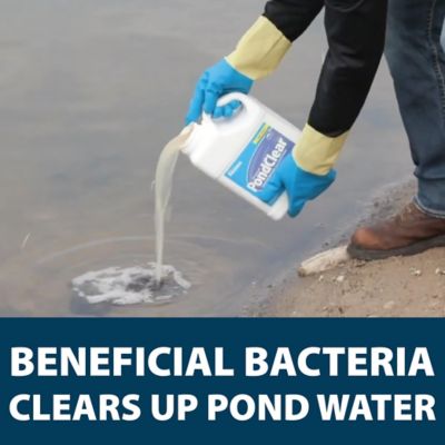 Image showing  PondClear Liquid Natural Water Clarifier, 1 gal.