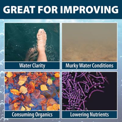 Image showing  PondClear Liquid Natural Water Clarifier, 1 gal.