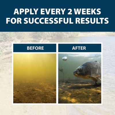 Image showing 5 th Airmax PondClear Liquid Natural Water Clarifier, 1 gal.