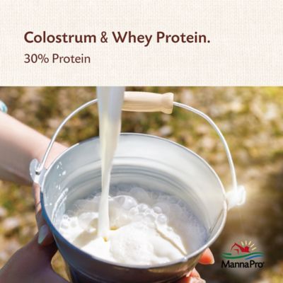 Image showing  Goat Kid Colostrum Supplement