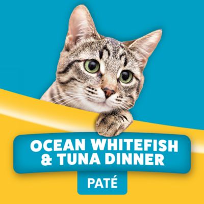 Image showing 5 th Paws & Claws Complete Nutrition Adult Ocean Whitefish and Tuna Pate Wet Cat Food, 13.2 oz.