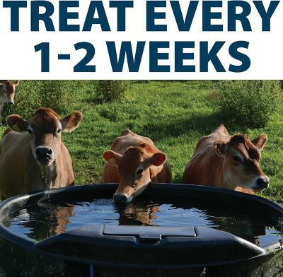 Airmax Stock Tank Water Treatment Defense Tablets, 3-Month Supply, 6-Pack