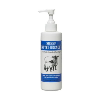 Nutri-Drench Sheep Nutri Drench, 8 oz.