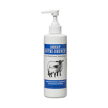 Nettex Sheep Conditioning Drench Supplement 