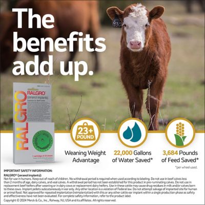 Image showing  Ralgro Implants for Beef Cattle, 24 Doses