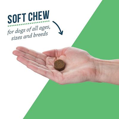 Image showing  Digestive Health Probiotic Soft Chews for Dogs, 75 ct.