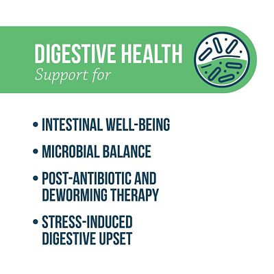 Image showing  Digestive Health Probiotic Soft Chews for Dogs, 75 ct.