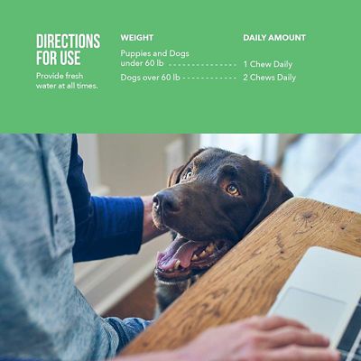 Image showing  Digestive Health Probiotic Soft Chews for Dogs, 75 ct.