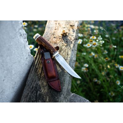 Image showing  5 in. Knife Golden Spike Fixed Blade