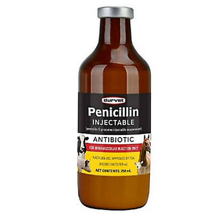 Durvet Livestock Penicillin Injectable, 500cc