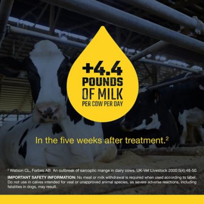 Image showing  Pour-On Beef and Dairy Cattle Dewormer