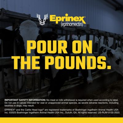 Image showing  Pour-On Beef and Dairy Cattle Dewormer