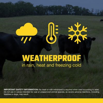 Image showing  Pour-On Beef and Dairy Cattle Dewormer