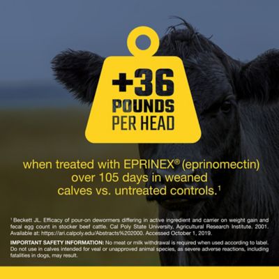 Image showing  Pour-On Beef and Dairy Cattle Dewormer