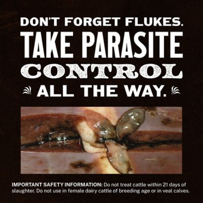 Image showing  Plus Injection for Cattle, 500 mL
